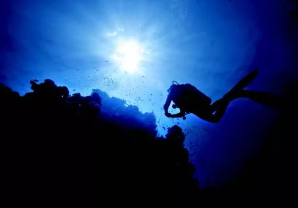 https://dev-api.arconyachts.com/storage/media/30684/conversions/140_3897606296-optimize.webp