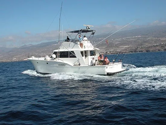 Sportfisherman 14m