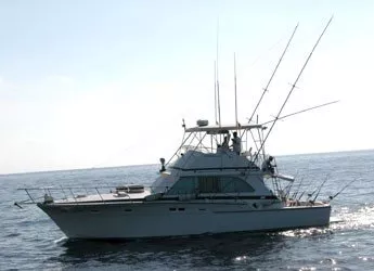 Sportfisherman 14m