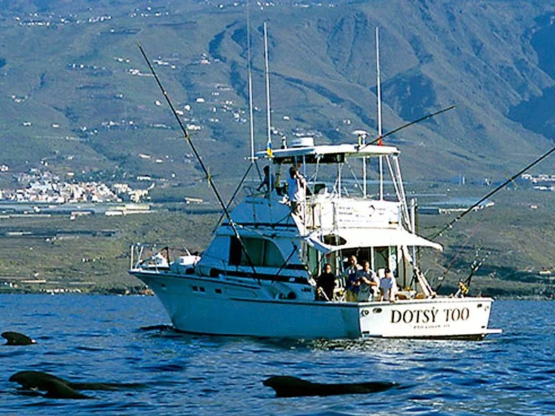 Sportfisherman 14m